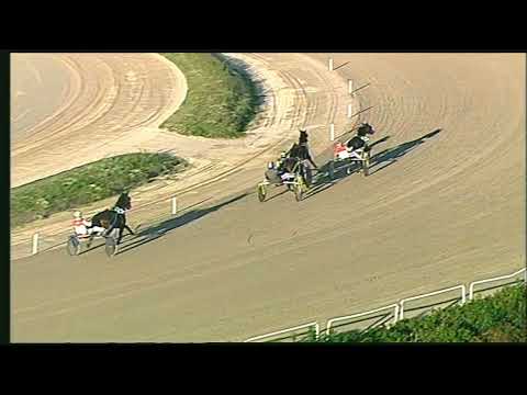 Napoli Trotto 27/11/2022 - 1ª prova di qualifica