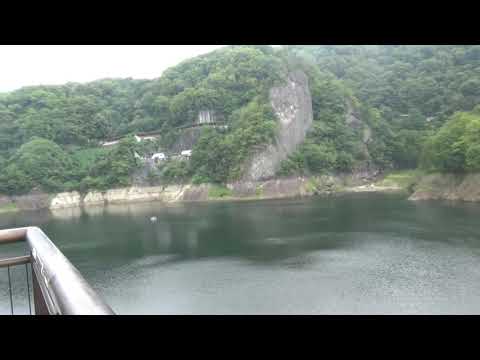 アントレプテス・マラセンシス 雄