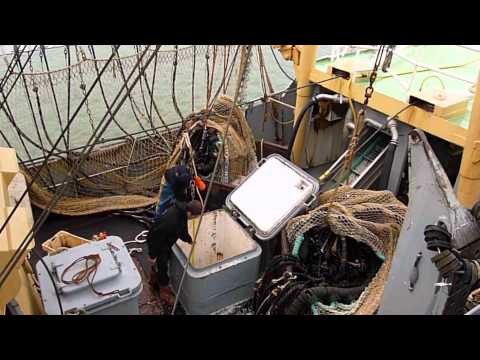 Eurokotter HD-3 Nieuwediep