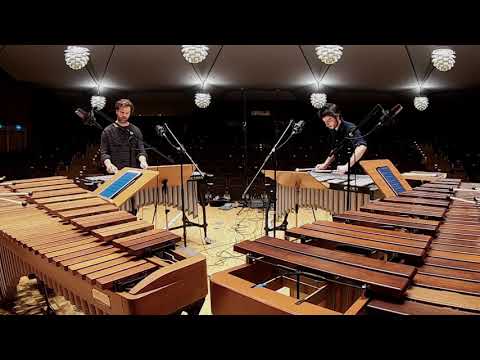 Steve Reich – "Mallet Quartet"  (Freiburg Percussion Ensemble)