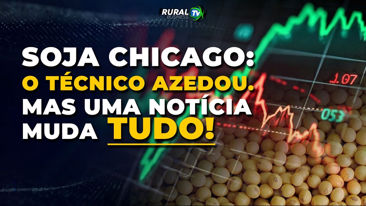 SOJA CHICAGO: O TÉCNICO AZEDOU. MAS UMA NOTÍCIA MUDA TUDO!