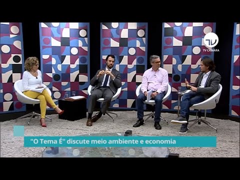 Especialistas debatem desafios da agenda ambiental e impactos para economia - 29/01/20