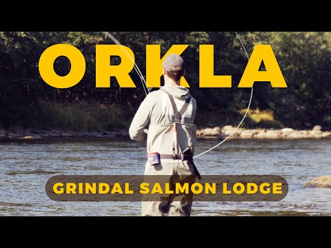 Orkla 2025: Late season salmon fishing in Norway