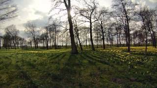 preview picture of video 'Rosengarten bei Garz auf Rügen'