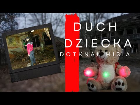 OPUSZCZONY SIEROCINIEC 😱😱😱