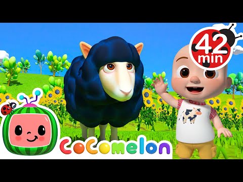 , title : 'Baa Baa Black Sheep - CoComelon | Kids Cartoons & Nursery Rhymes | Moonbug Kids'