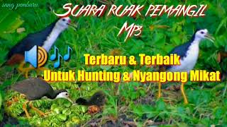 Download lagu Terbukti 3 Menit Langsung Datang / Pikat Burung Ruak Ruak mp3