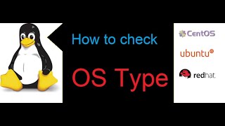 Discover the Simple Trick That Reveals Your OS Type In Seconds!