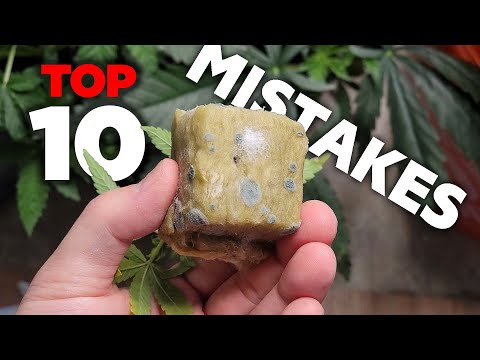 TOP 10 MISTAKES Cannabis GROWERS MAKE - How to Fix Them