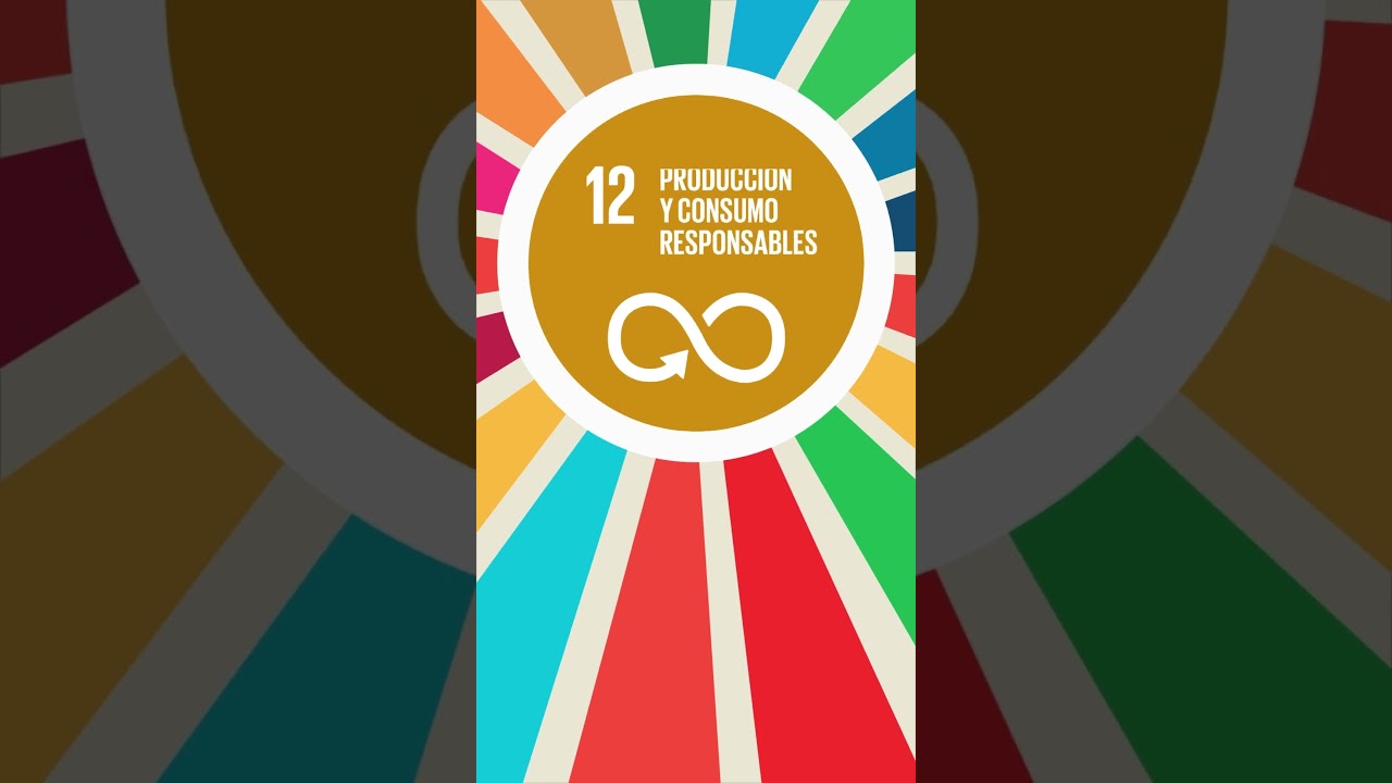 Estándares Voluntarios de Sostenibilidad - ECOADVANCE