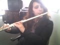 waka waka - shakira / flute cover 