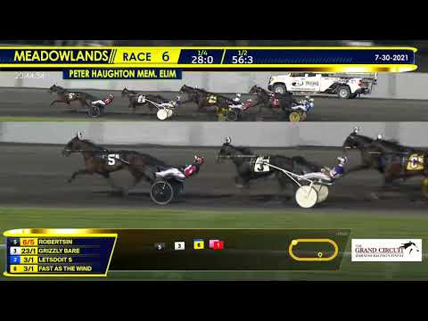 July 30, 2021 - Peter Haughton Memorial Elimination 2 2YO Colt & Gelding Trot