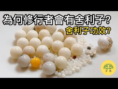 舍利子禁忌