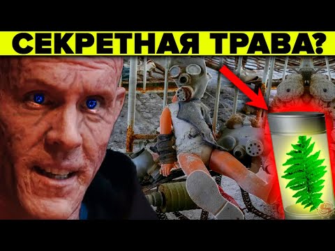 ТРАВА КОТОРАЯ ЛЕЧИТ 80% болезней! Секретные свойства папоротника