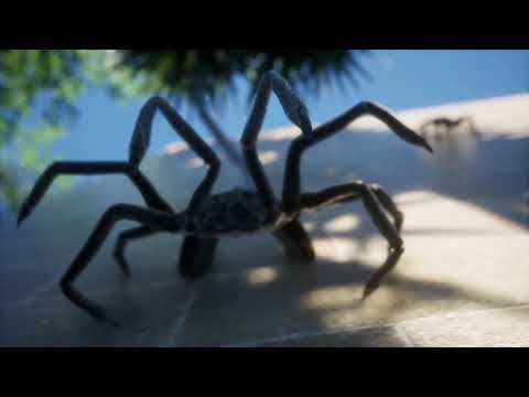 Alien FaceHugger Fanproject [UE4]