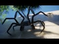 Alien FaceHugger Fanproject UE4