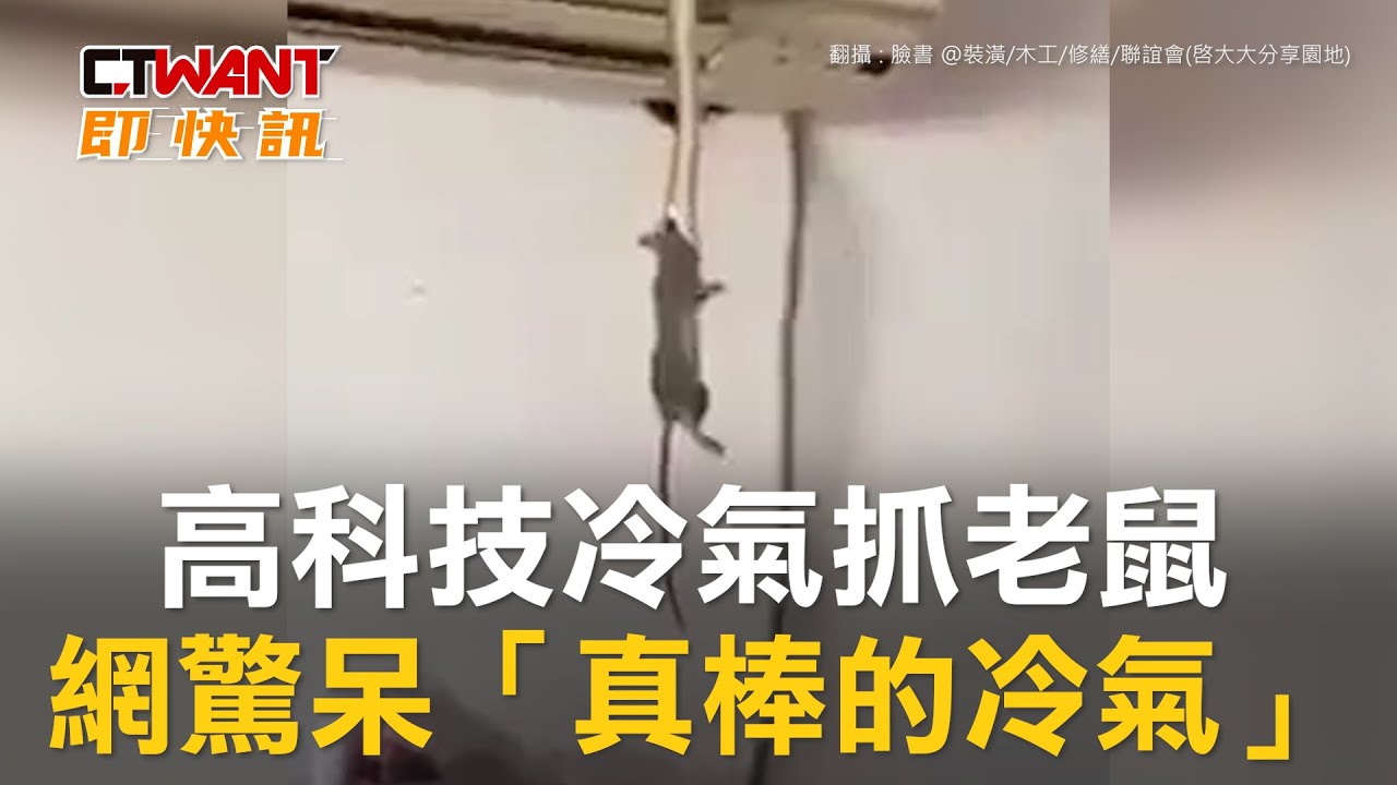 圖說-高科技冷氣抓老鼠　網驚呆「真棒的冷氣」