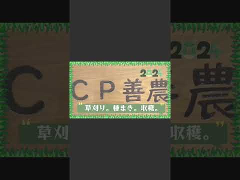 ゼラニウムと組み合わせる植物はどれですか?庭や野菜畑にぴったりの12種類のコンパニオンプランツ  庭園