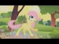 My Little Pony: &I Fluttershy So Many Wonders ...