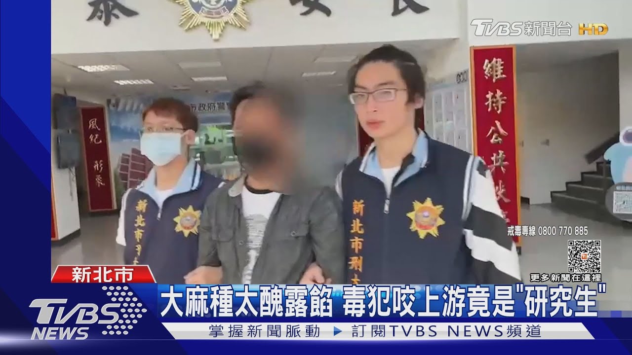 大麻種太醜露餡 毒犯咬上游竟是「研究生」