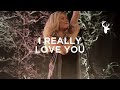 I Really Love You 