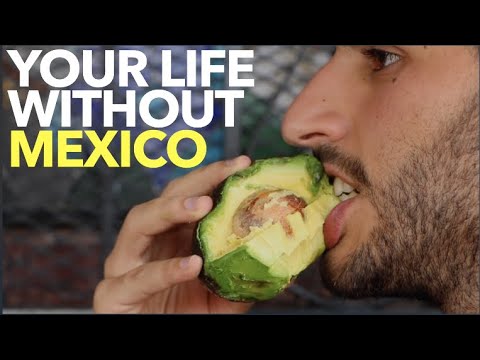 メキシコのない生活 (Your Life Without Mexico)