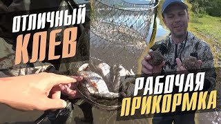 Прикормки на ельца зимой