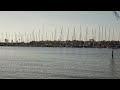 Zalo Magnolia Full EP Visualizer