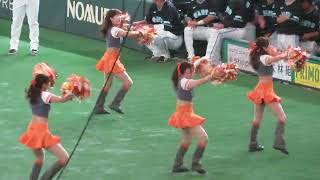 VENUS 「巨人：チアリーダー」