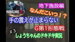 バイオハザードre2　レオン編表　ビビリすぎた実況#3　地下施設でエイダとGちゃんに出くわした