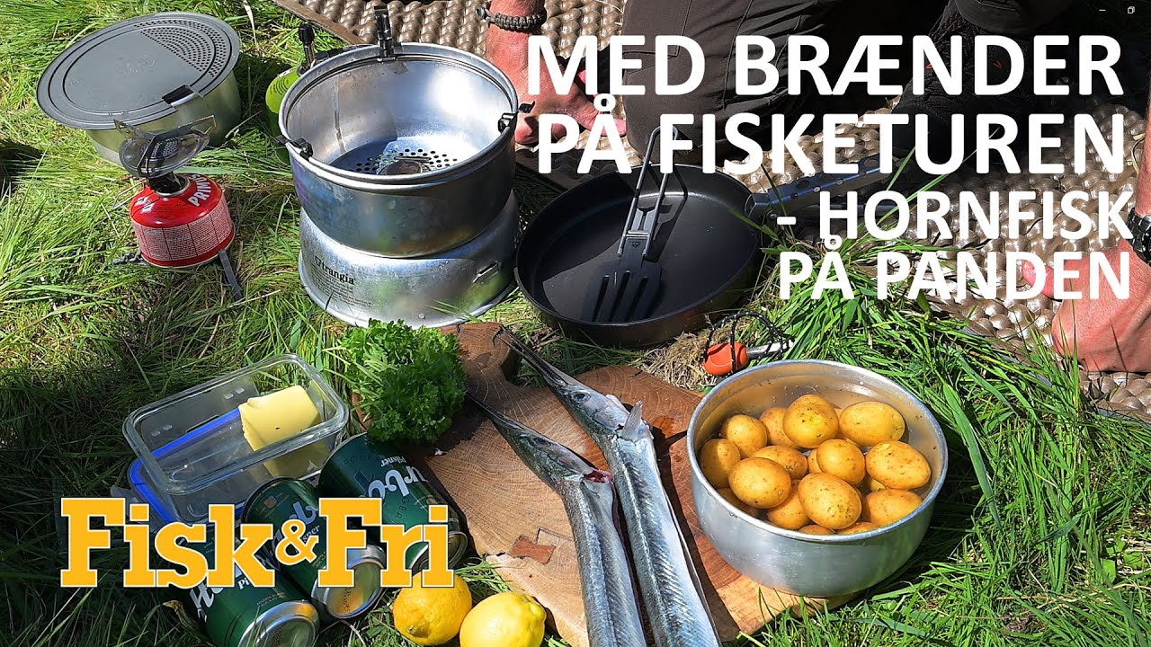 NY VIDEO: MED BRÆNDER PÅ FISKTUREN – HORNFISK PÅ PANDEN