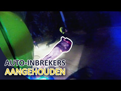Auto-inbrekers aangehouden | Achtervolging | Politie Utrecht