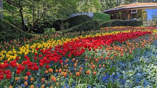 The Beauty Of Butchart Gardens On Vancouver Island in British Columbia, Canada