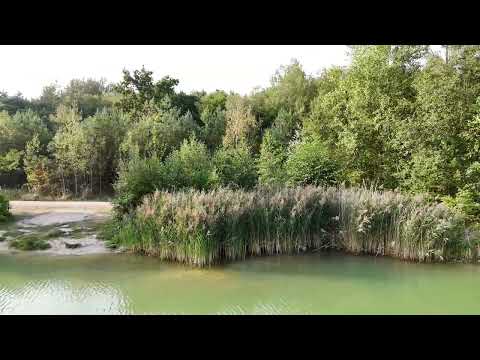 Pískovna Vejprnice - lovné místo č. 3