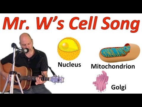 The Cell Song! Learn the parts of cells by singing along with Mr. W!