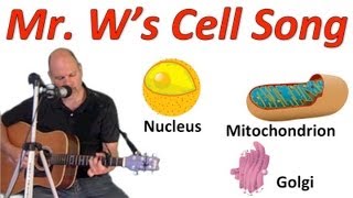 The Cell Song