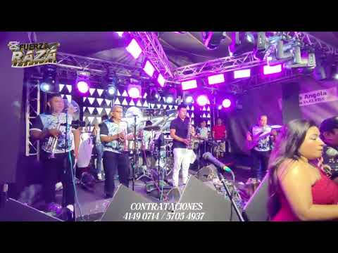 EL BAILE DEL GAVILÁN FUERZA RAZA DE SAN FRANCISCO ZAPOTITLAN SUCHITEPÉQUEZ 