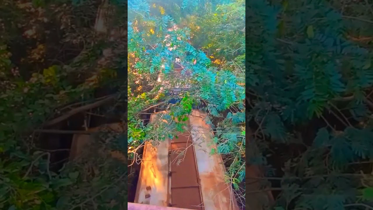 Locotrol ES43BBi VLI 8806