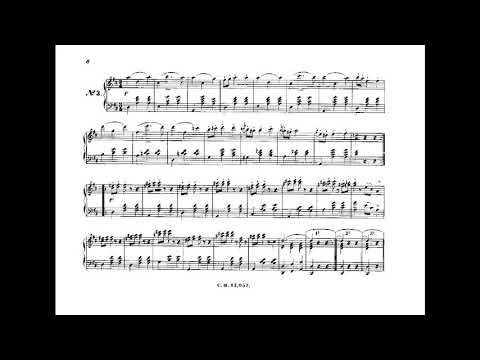 Johann Strauss II telegrafische depeschen walzer op 195