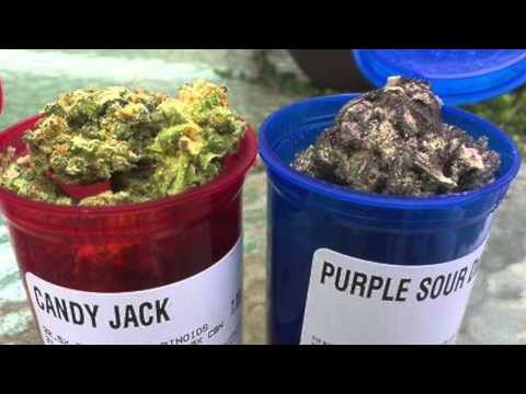 T-Wall Ft. Big Ree Rico Bandz SFLP ( Stupid Fruity Loud Pack