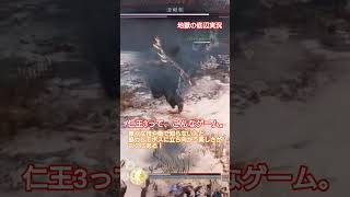 【仁王3】マルチプレイが楽しい！
