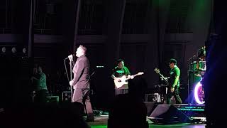 Morrissey - My Love, I'd Do Anything For You (Hollywood Bowl Nov 10th 2017)