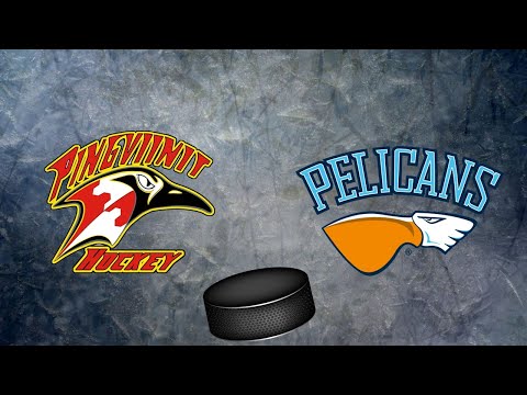 U11 Sarjapeli Pirkkalan Pingviinit Kuninkaat vs Pelicans Turkoosi