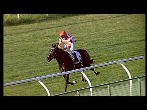 Galoppo 01/07/2020 - 4ª corsa