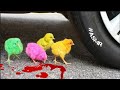 AYAM LUCU WARNA WARNI Vs MOBIL EKSPERIMEN MOBIL VS MAKANAN VS MAINAN ANAK ANAK ASMR