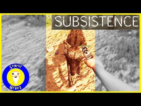 Subsistence | S5 Odc. 1 | Wędrowiec, wilk i noc na skale