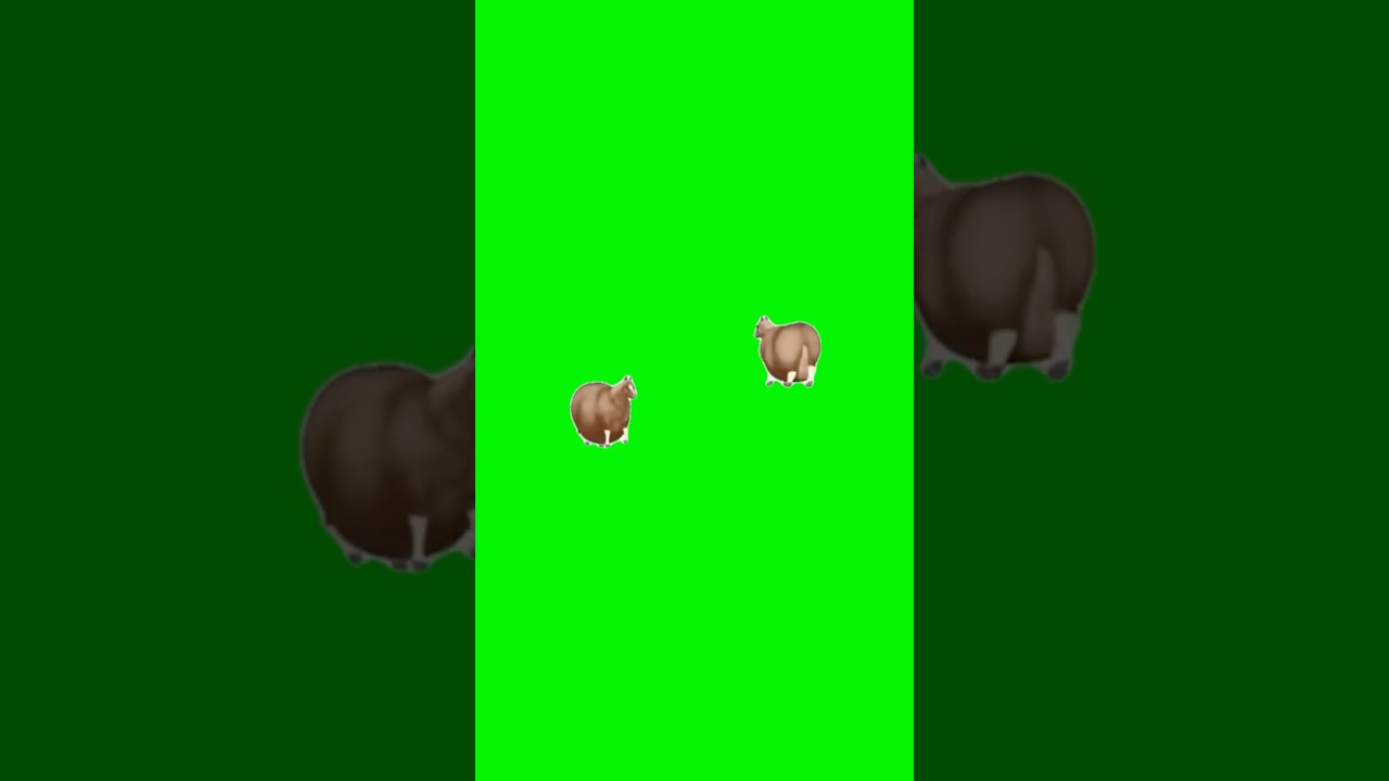 Horse Sticker | Green Screen #horsesticker #horse #spinning #spinninghorse #funnysticker #meme