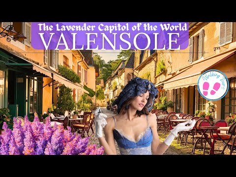 VALENSOLE/The Lavender Capitol🇫🇷/The Exotic King of Lavender Produce/ Côte d’Azur region/#provence