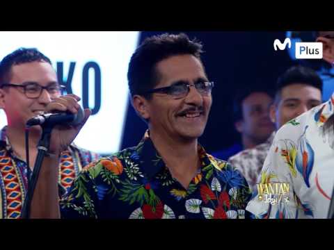 Wantan Night - Zaperoko - Juego Wantanero