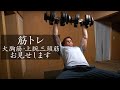【筋トレ】#11大胸筋・上腕三頭筋のトレーニングをお見せします【村雨辰剛】【筋肉体操】